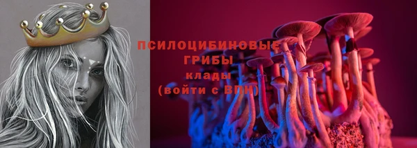 твердый Алексеевка