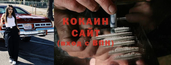 соль ск Алзамай