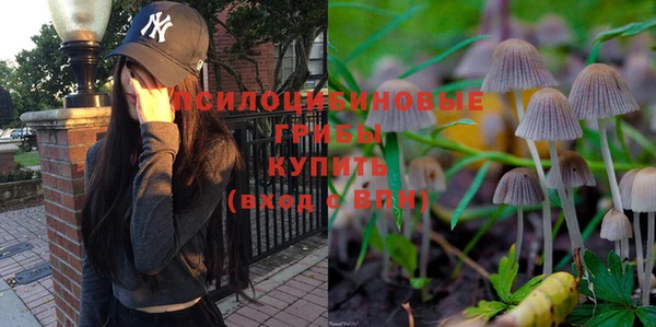 твердый Алексеевка