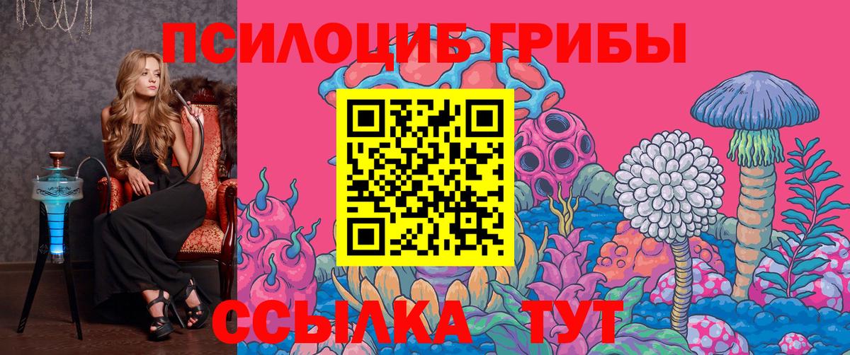 Галлюциногенные грибы Psilocybine cubensis Белебей